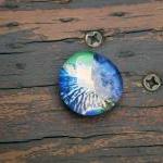 Various Nature Magnets 