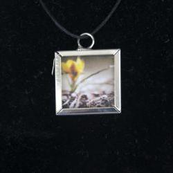 Sprout Glass Pendant with Black Cord